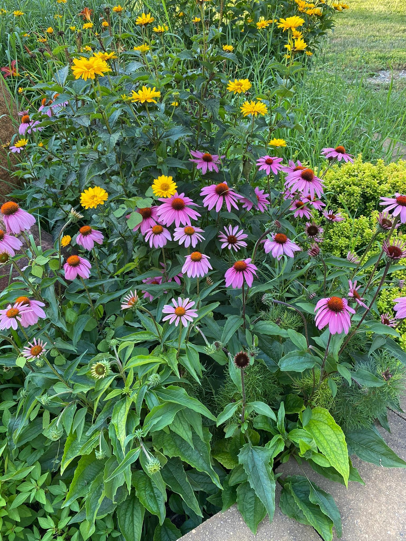 21168 Klein Road Detroit Lakes, MN 56501 - Photo 99 of 128