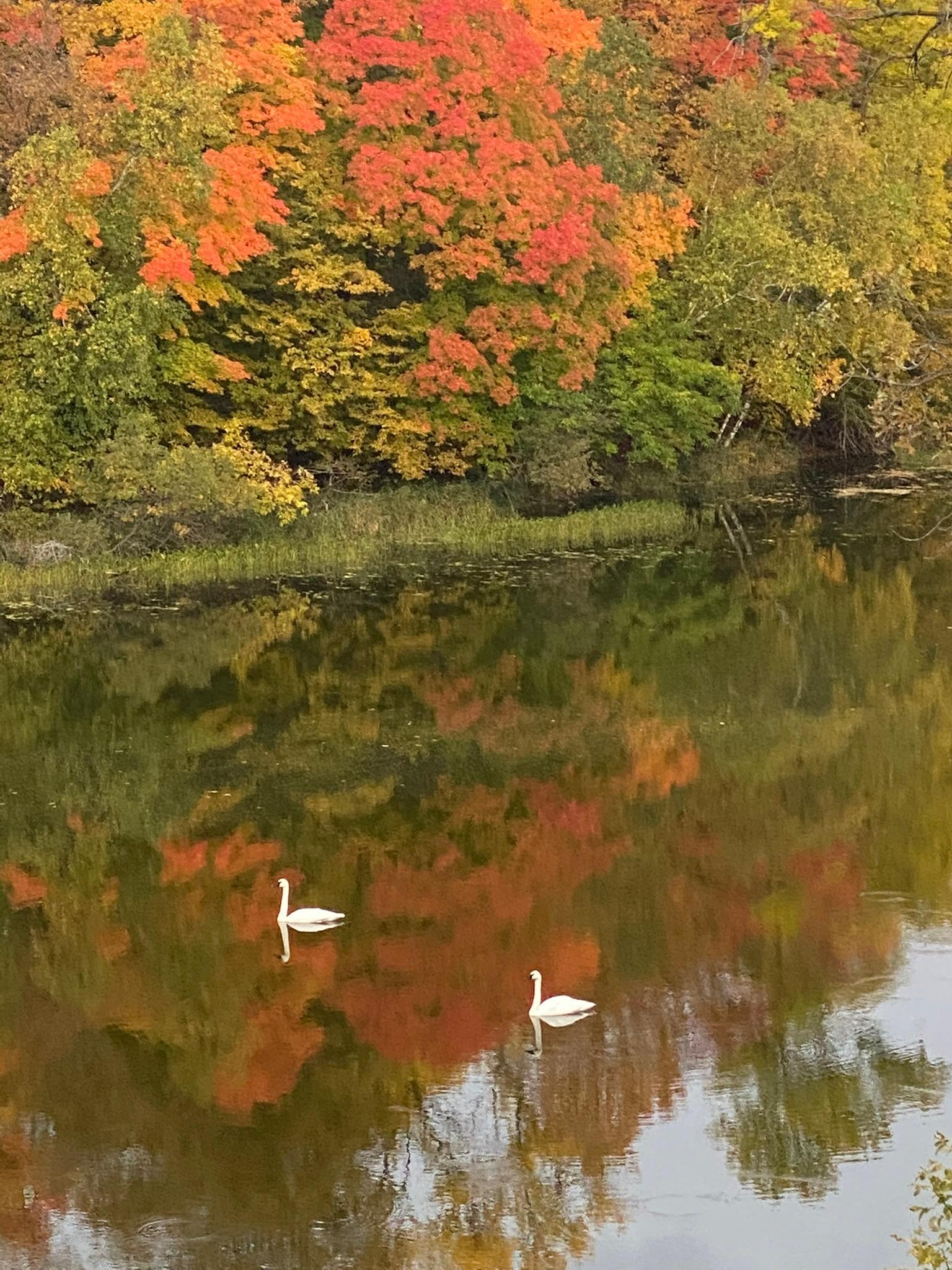 21168 Klein Road Detroit Lakes, MN 56501 - Photo 100 of 128