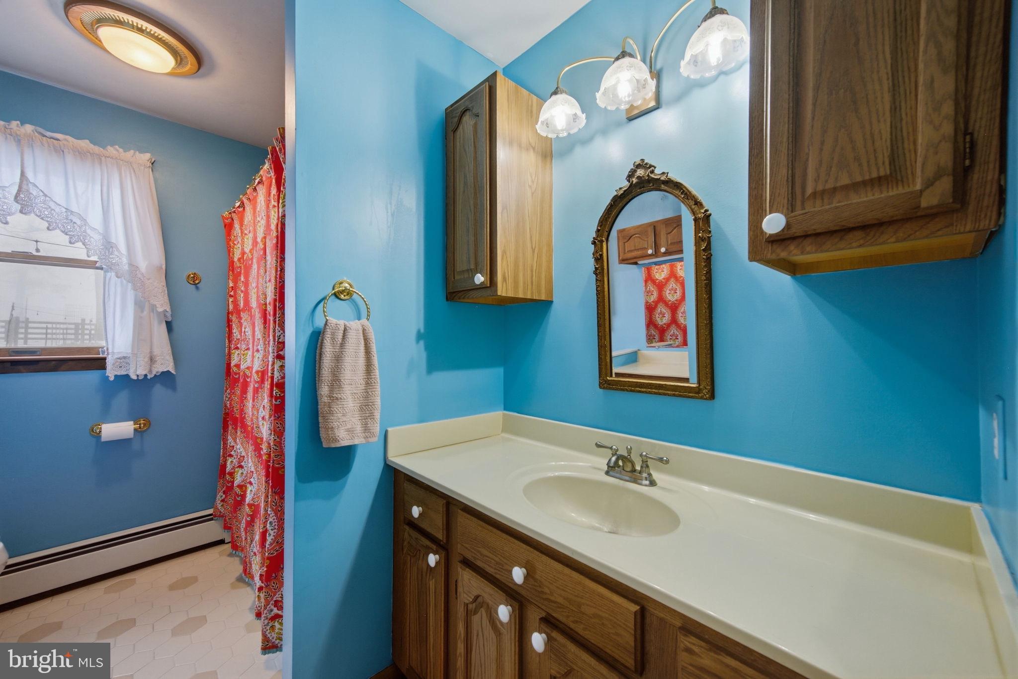 3975 Street Road Street, MD 21154 - Photo 49 of 78 a bathroom with a sink and a mirror
