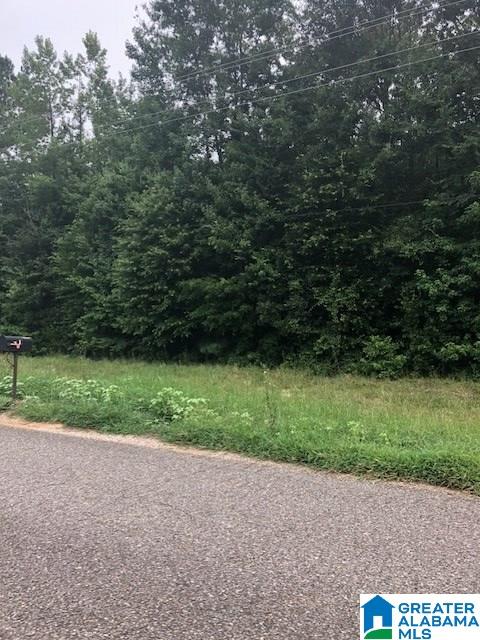 Berney Station Road, Unit 9 5 Lineville, AL 36266 - Photo 4 of 5