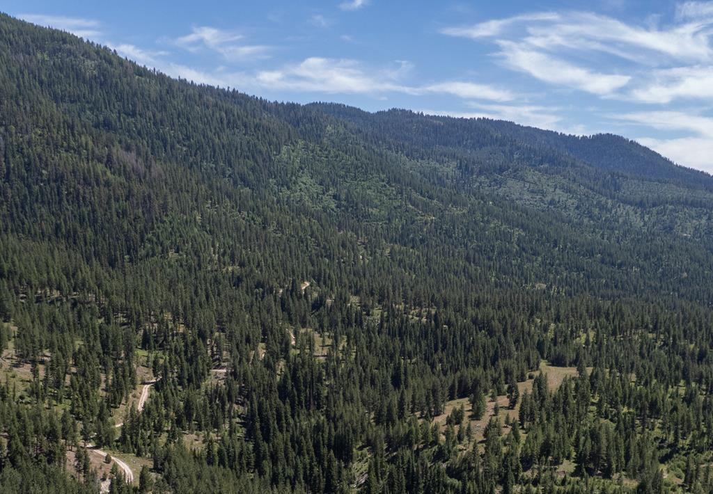 24 Clear Creek Road Cascade, ID 83611 - Photo 1 of 1 Main View