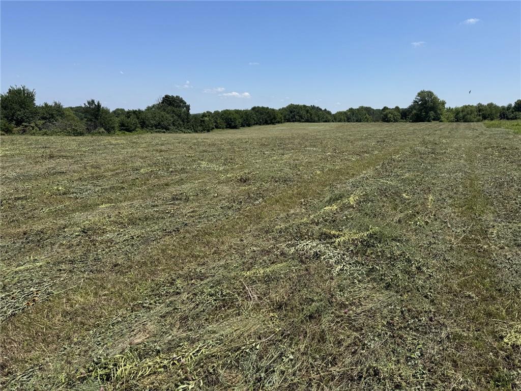 Tbd Southeast 251st Road Warrensburg, MO 64093 - Photo 6 of 7