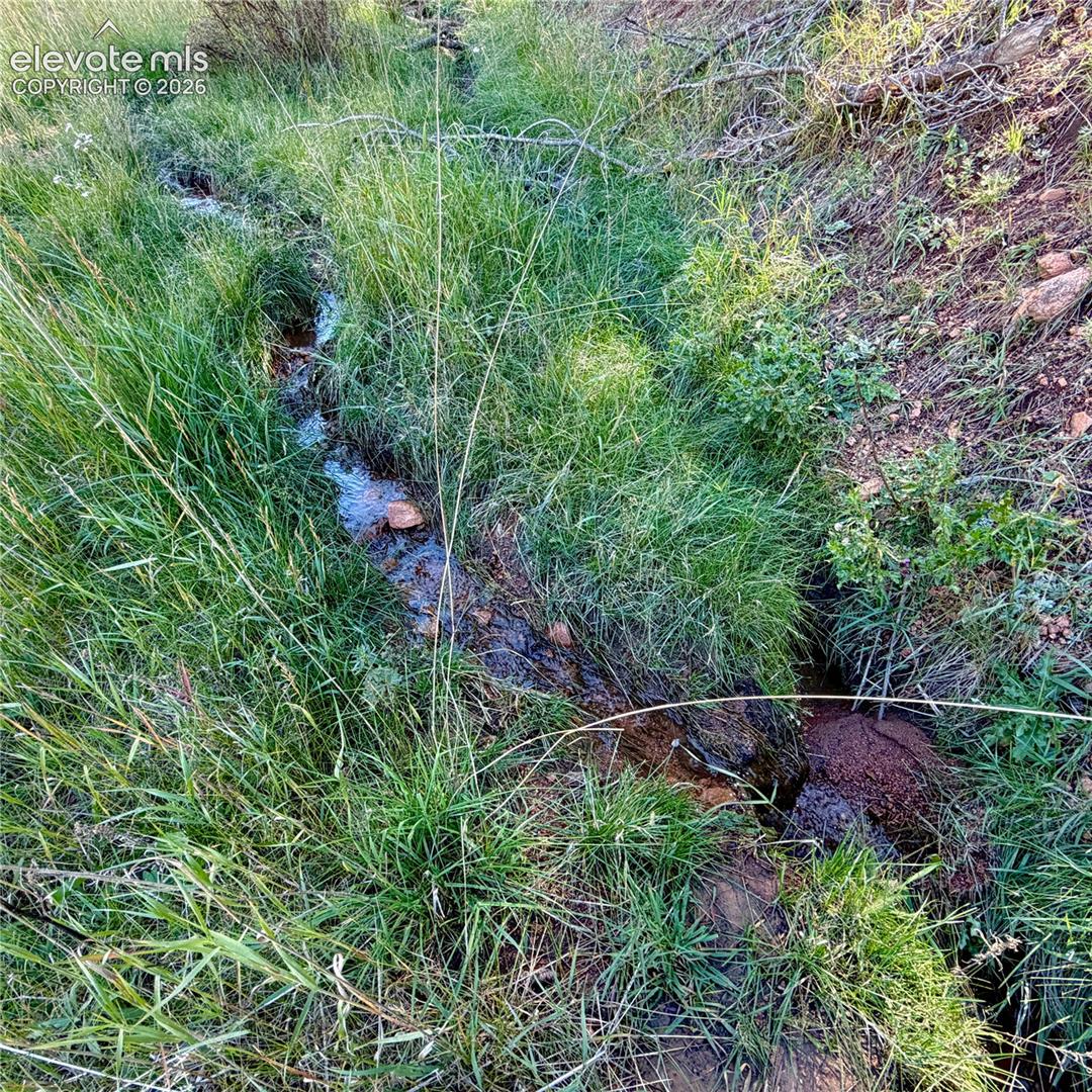 535 Willow Road Divide, CO 80814 - Photo 16 of 20 seasonal babbling brook