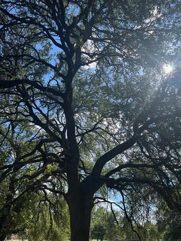 $47,500 | 616 West Aquarius Court, Granbury, TX 76049