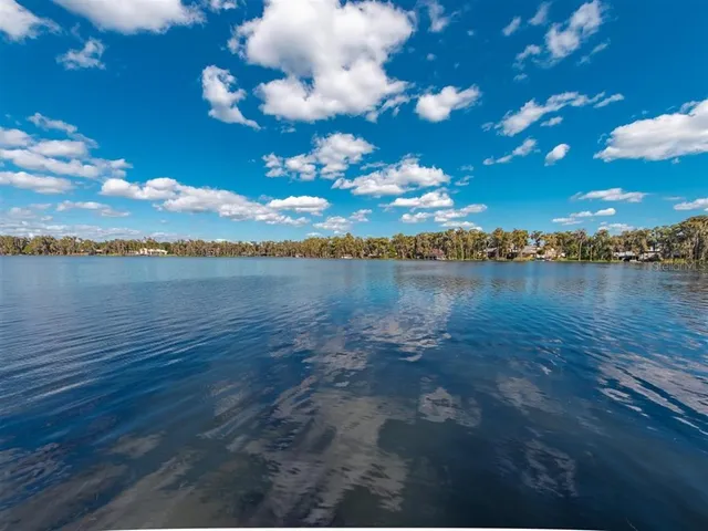 a view of a swimming pool with an ocean view