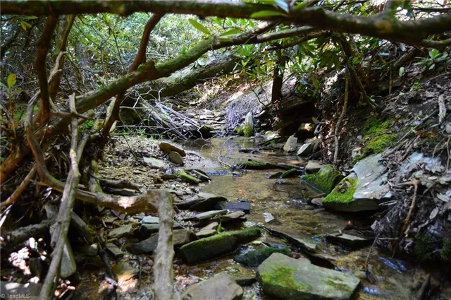 $262,500 | 1 Highway 89 West, Unit TRACT C (21AC), Danbury, NC 27016