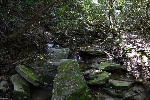 $262,500 | 1 Highway 89 West, Unit TRACT C (21AC), Danbury, NC 27016