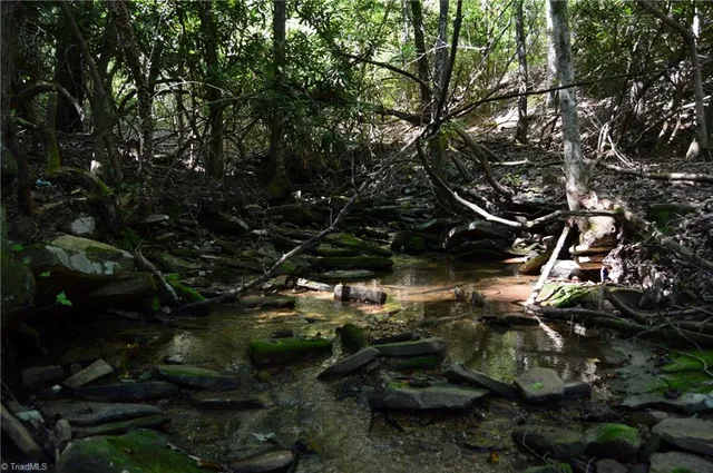 $262,500 | 1 Highway 89 West, Unit TRACT C (21AC), Danbury, NC 27016