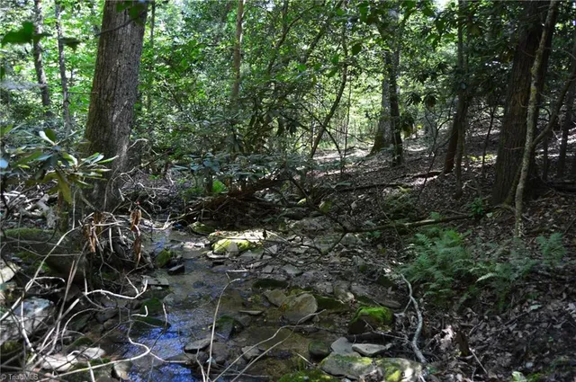 $262,500 | 1 Highway 89 West, Unit TRACT C (21AC), Danbury, NC 27016