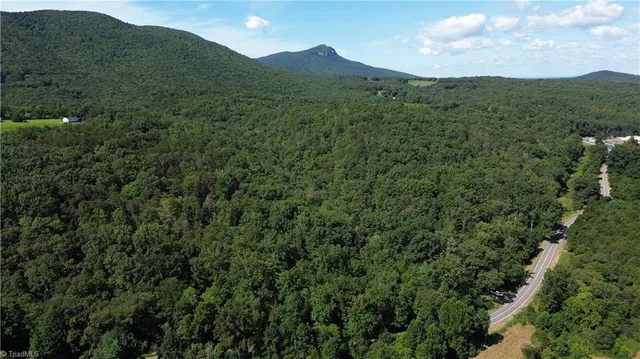 $262,500 | 1 Highway 89 West, Unit TRACT C (21AC), Danbury, NC 27016