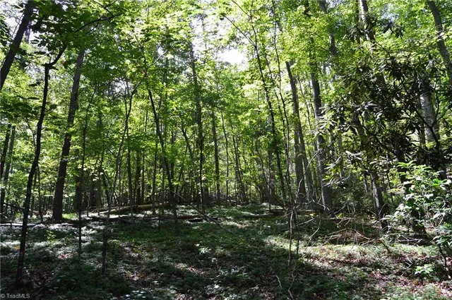 $262,500 | 1 Highway 89 West, Unit TRACT C (21AC), Danbury, NC 27016