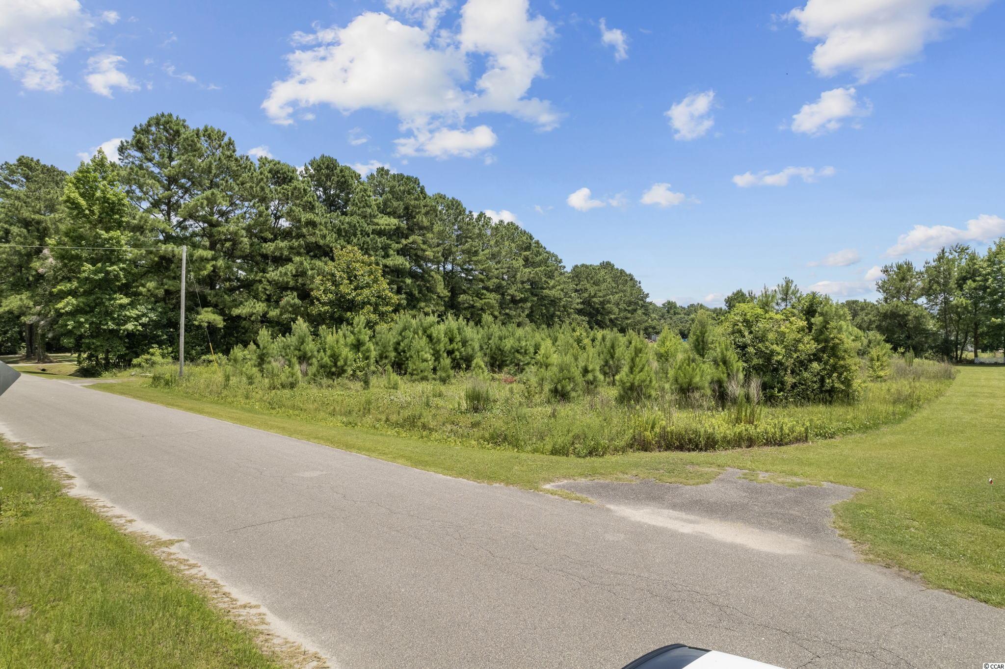 382 Old Pireway Road Conway, SC 29526 - Photo 2 of 12