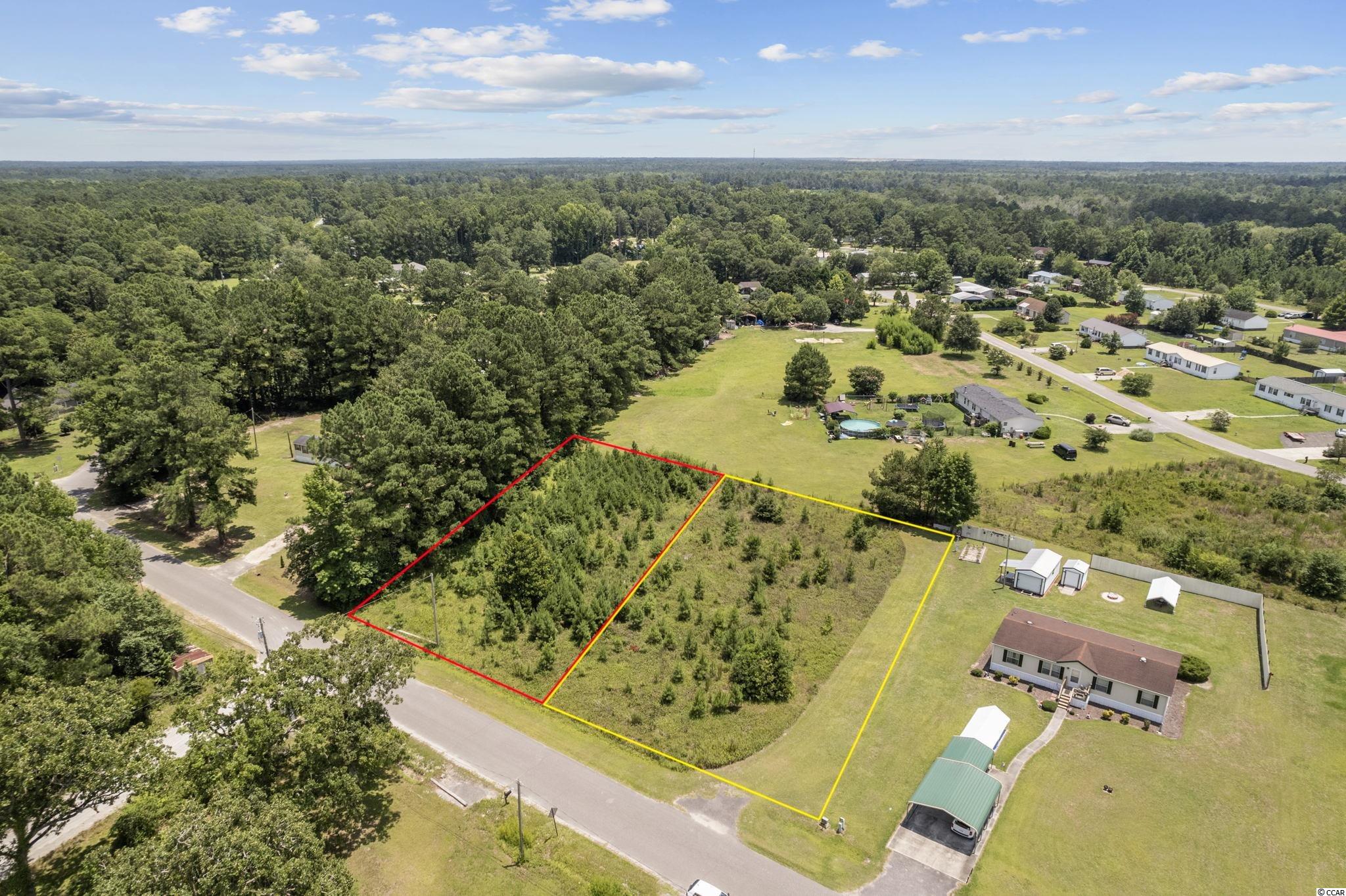 382 Old Pireway Road Conway, SC 29526 - Photo 9 of 12