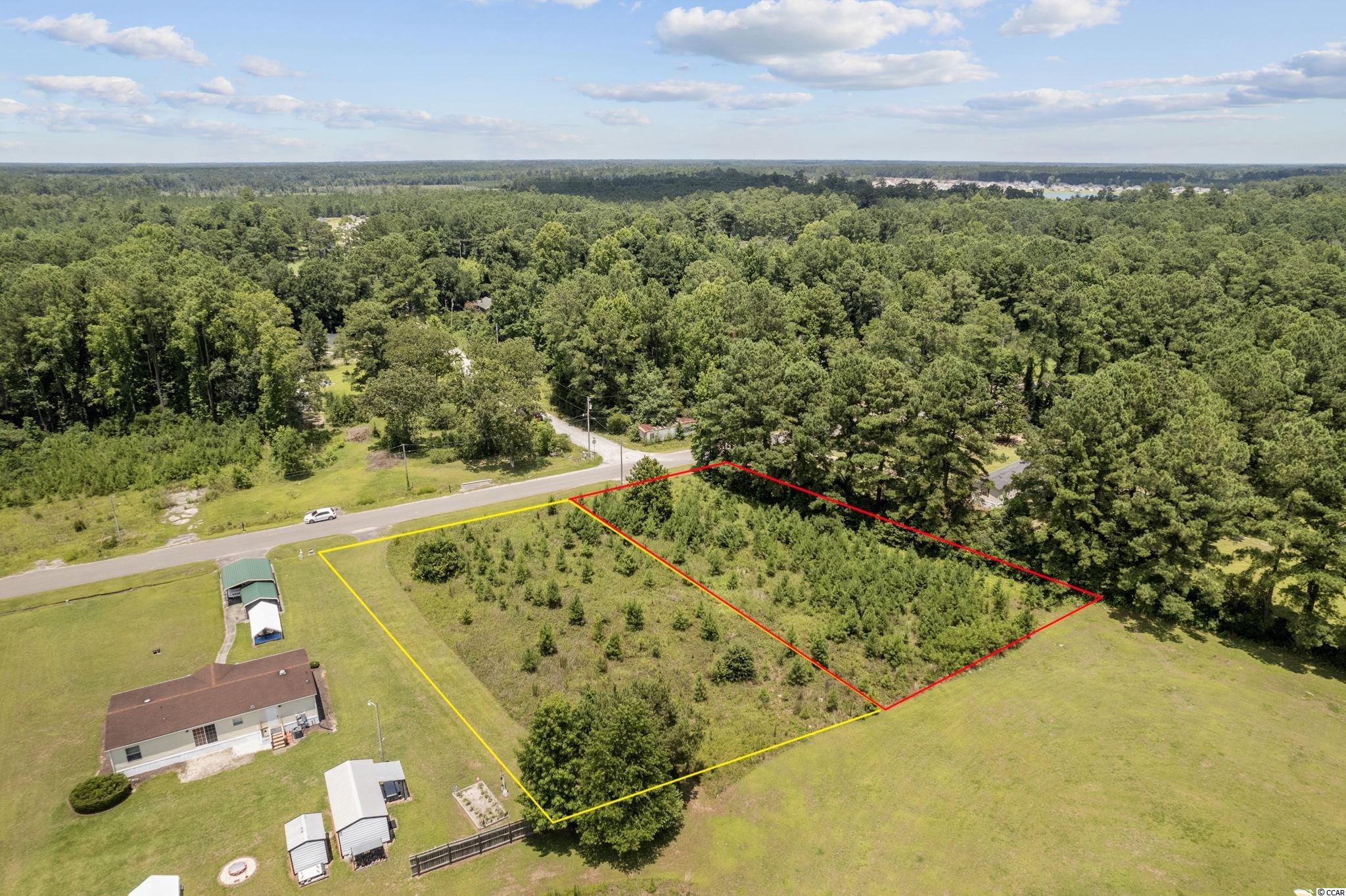 382 Old Pireway Road Conway, SC 29526 - Photo 10 of 12