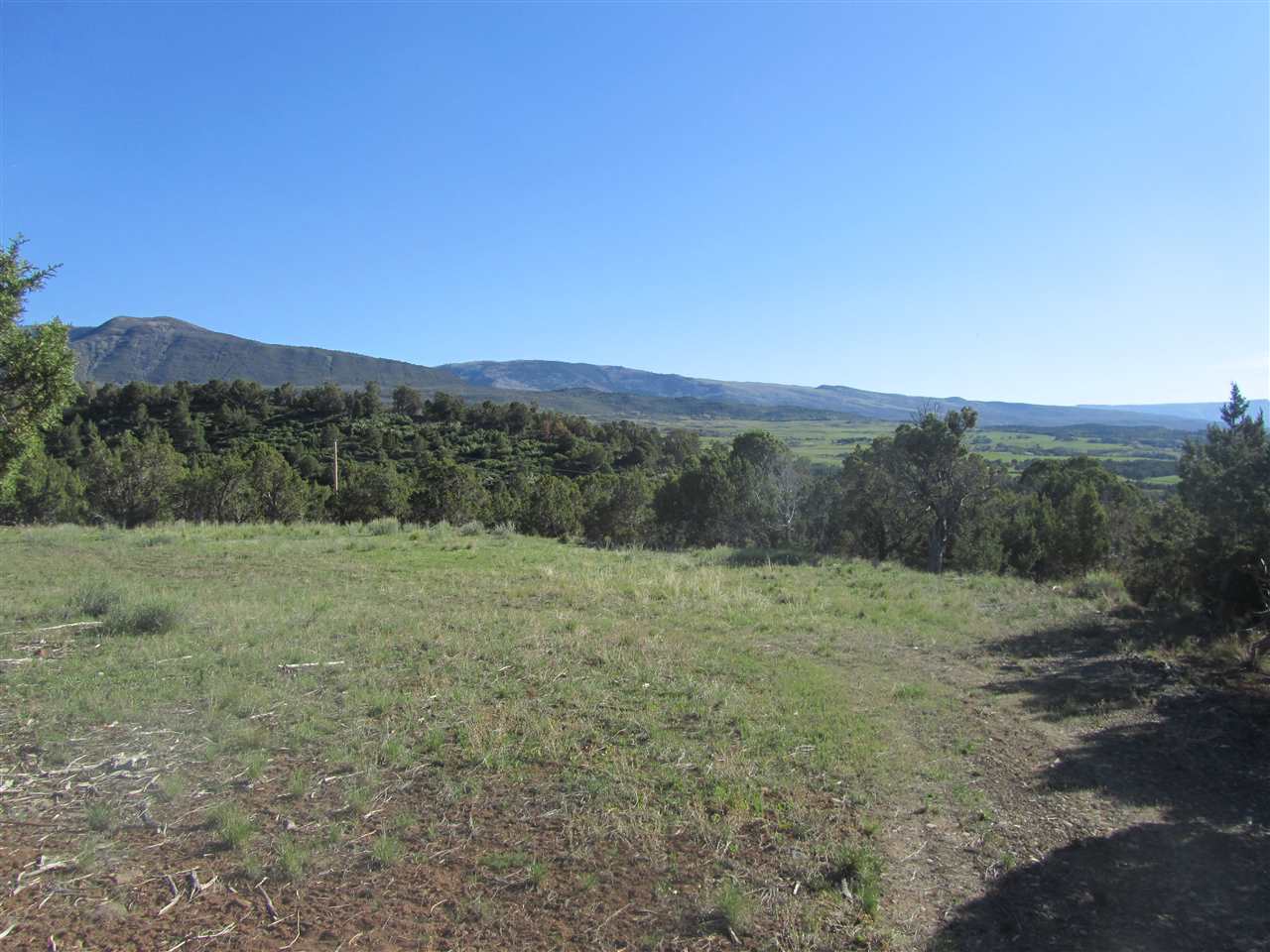 55999 KK Road Molina, CO 81646 - Photo 1 of 19 Gallery Image 1