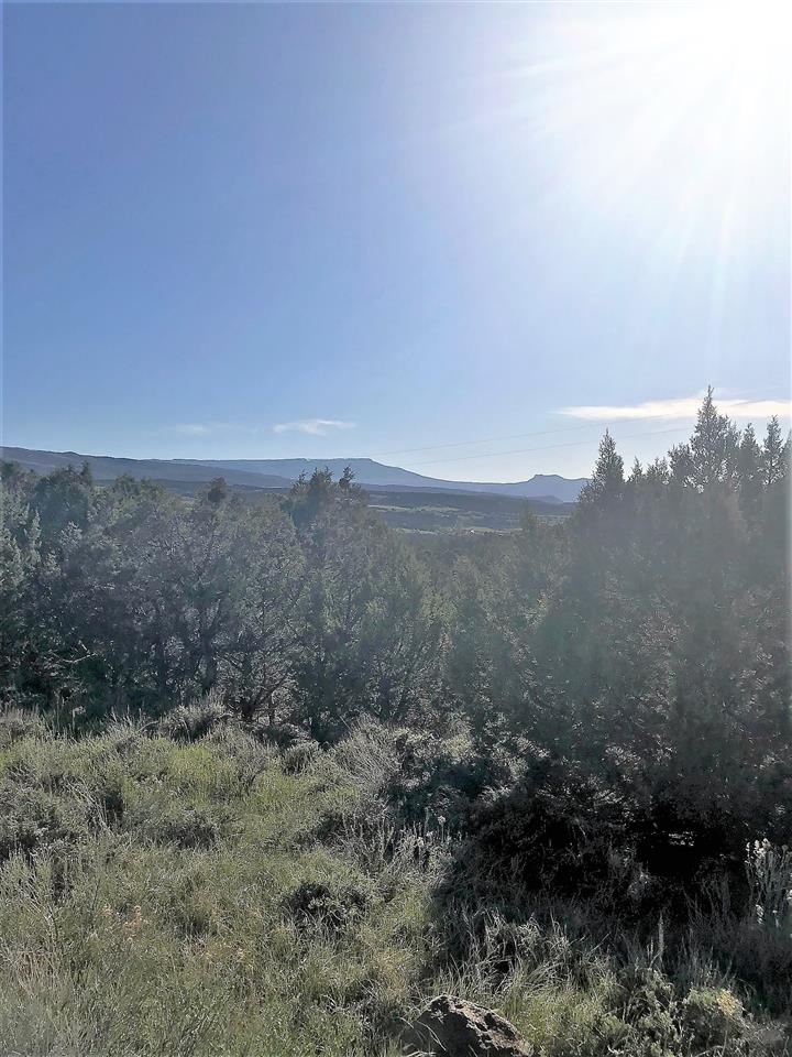 55999 KK Road Molina, CO 81646 - Photo 11 of 19 Gallery Image 11