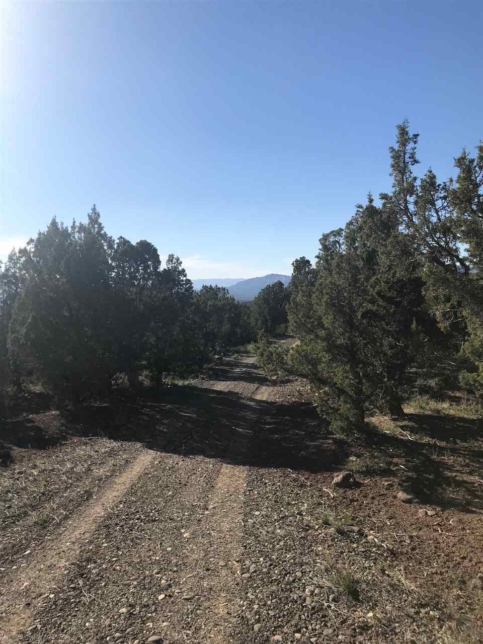 55999 KK Road Molina, CO 81646 - Photo 12 of 19 Gallery Image 12
