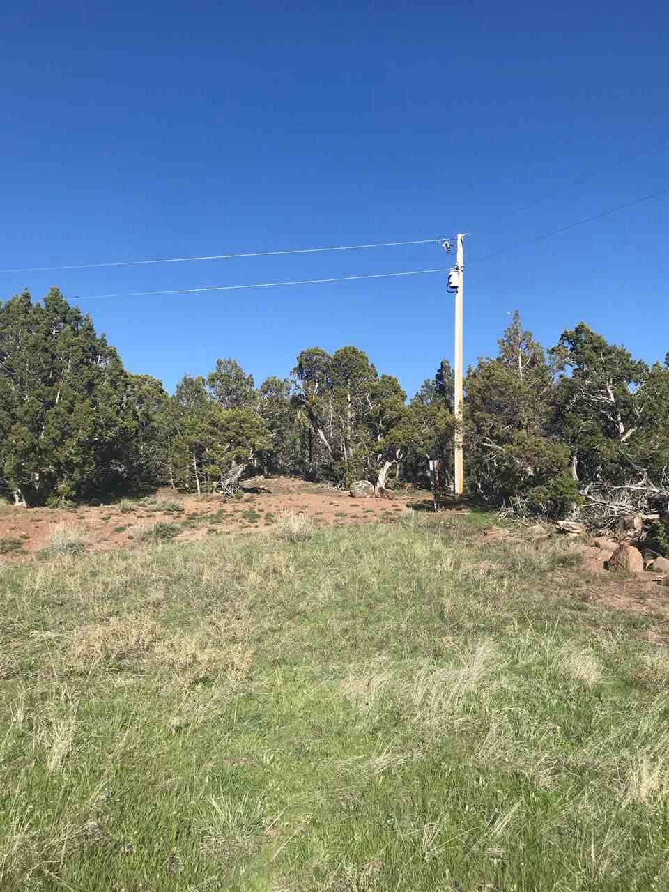 55999 KK Road Molina, CO 81646 - Photo 13 of 19 Gallery Image 13