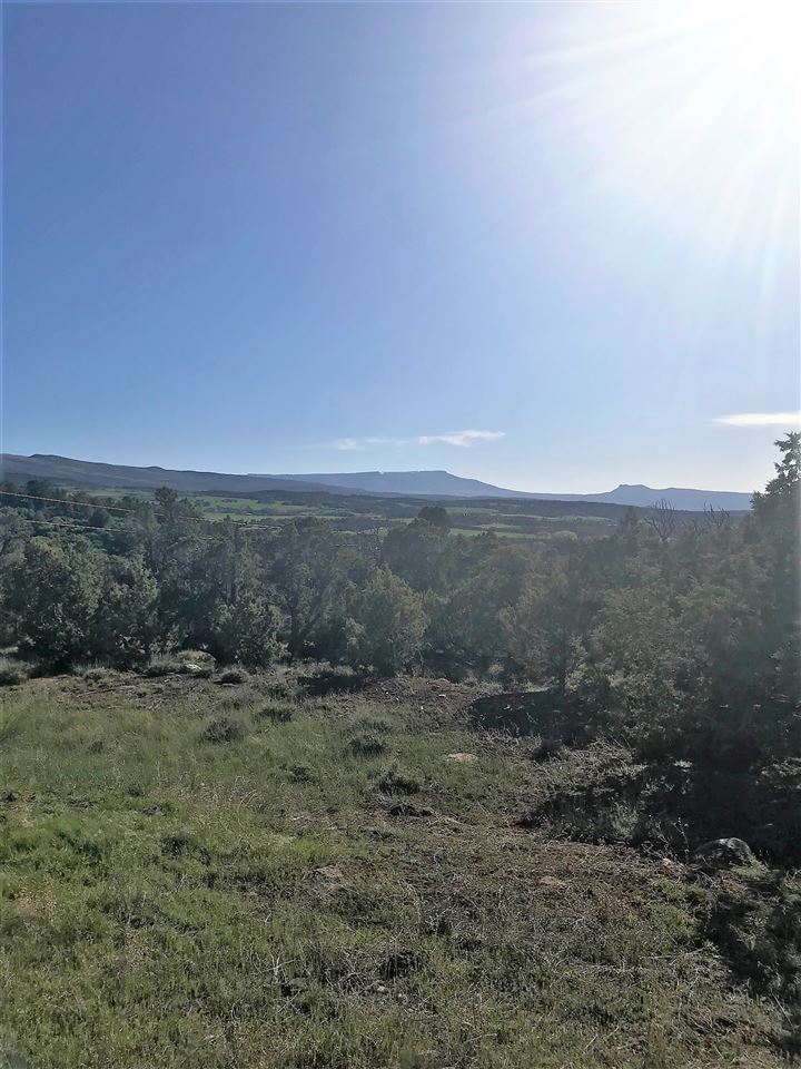 55999 KK Road Molina, CO 81646 - Photo 14 of 19 Gallery Image 14