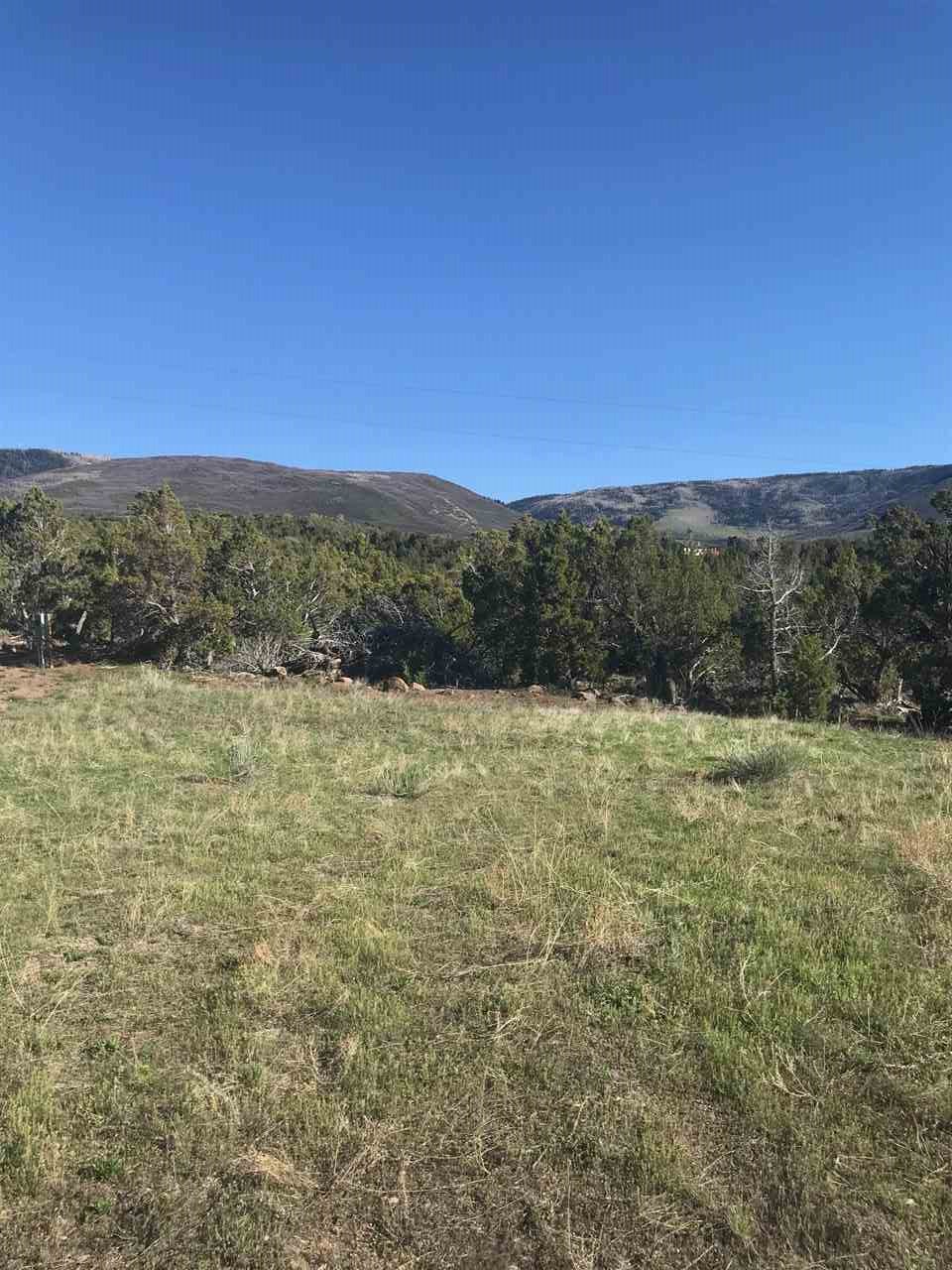55999 KK Road Molina, CO 81646 - Photo 15 of 19 Gallery Image 15