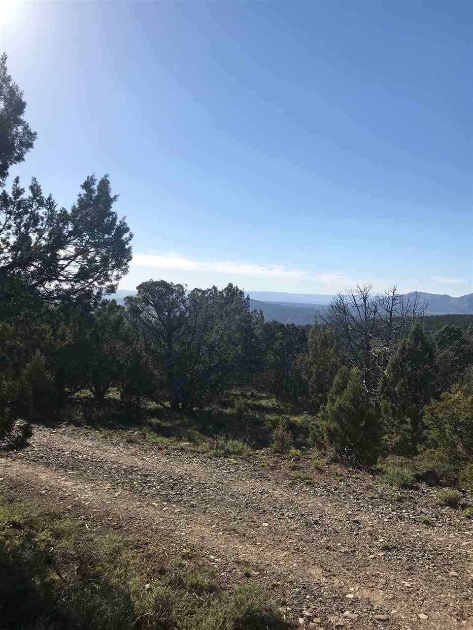 55999 KK Road Molina, CO 81646 - Photo 16 of 19 Gallery Image 16