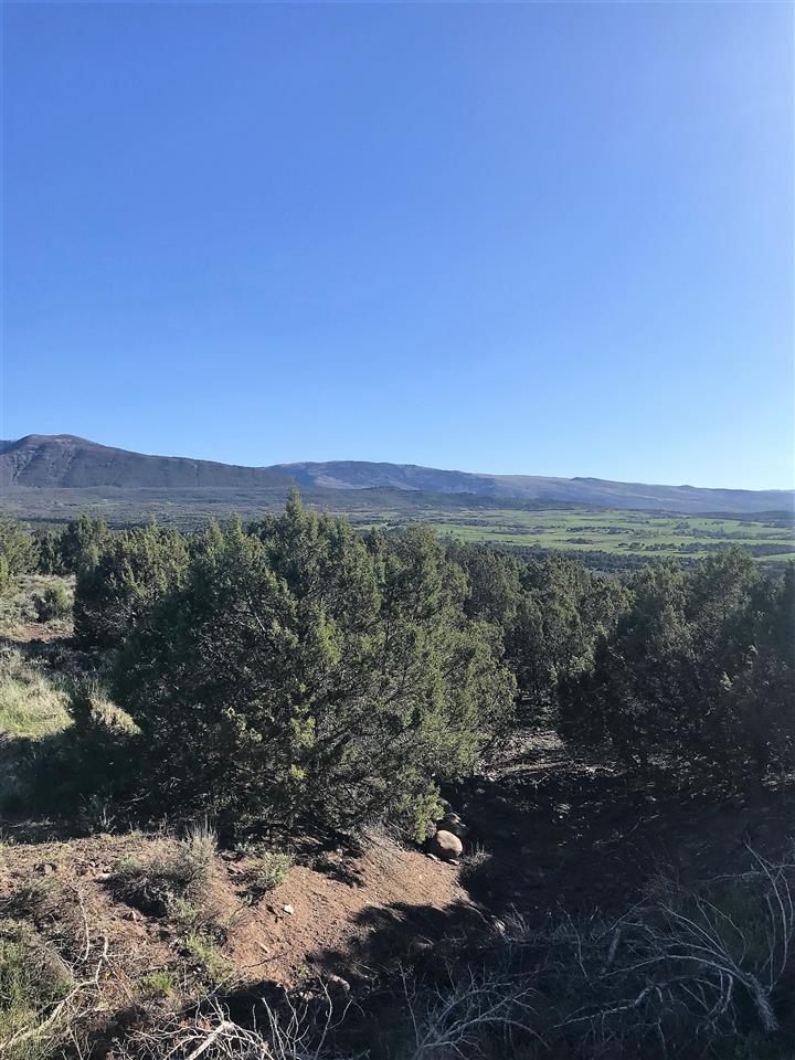 55999 KK Road Molina, CO 81646 - Photo 17 of 19 Gallery Image 17