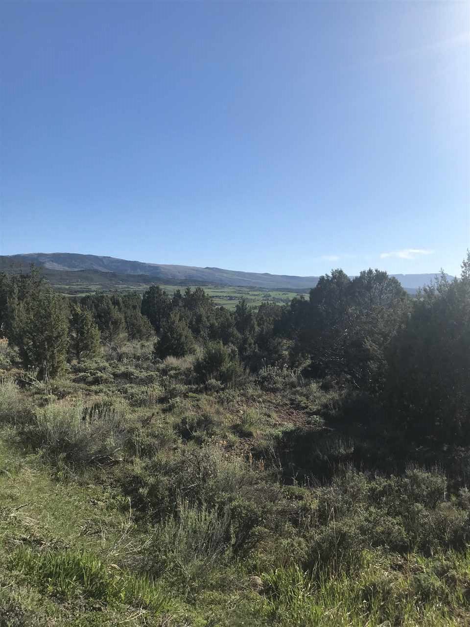 55999 KK Road Molina, CO 81646 - Photo 19 of 19 Gallery Image 19