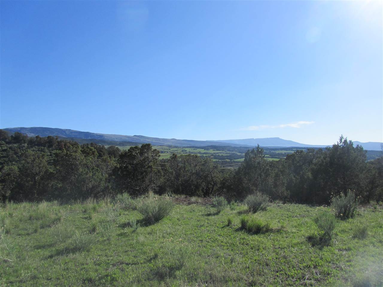 55999 KK Road Molina, CO 81646 - Photo 2 of 19 Gallery Image 2