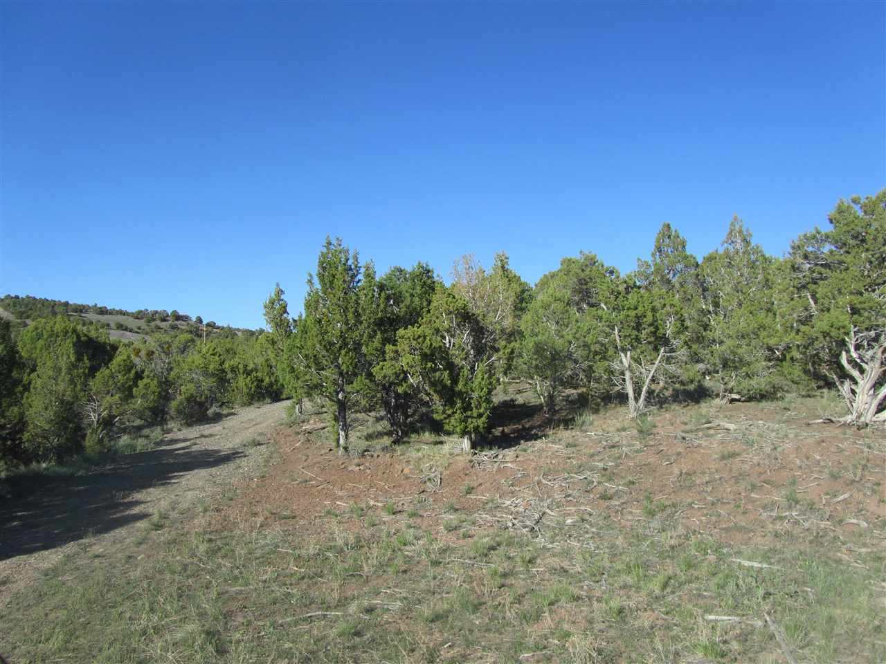 55999 KK Road Molina, CO 81646 - Photo 3 of 19 Gallery Image 3