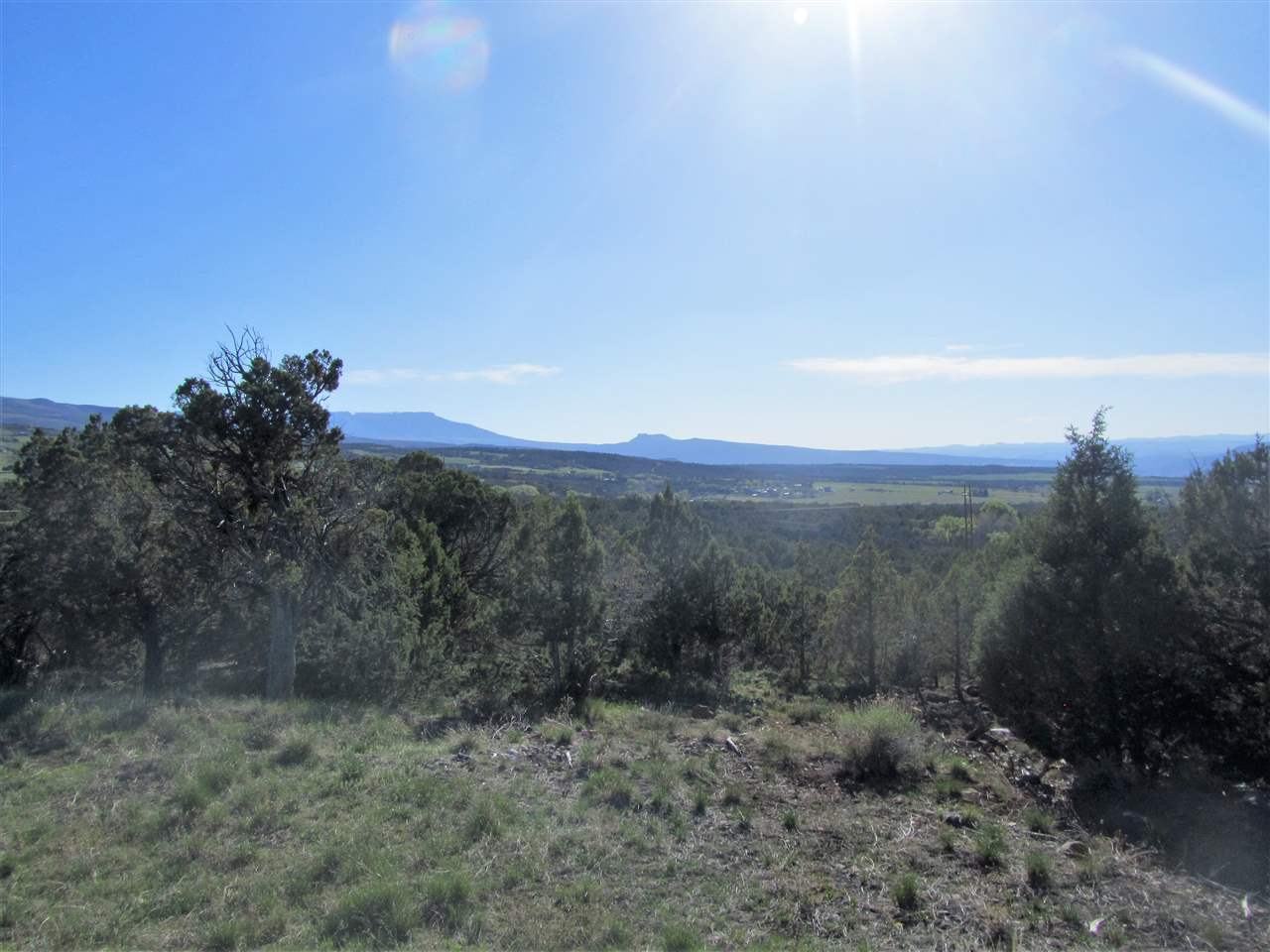 55999 KK Road Molina, CO 81646 - Photo 4 of 19 Gallery Image 4