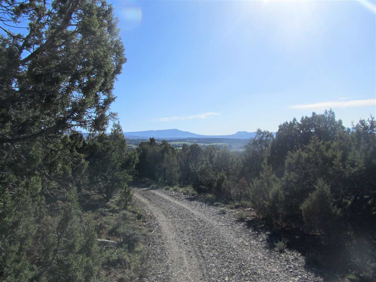 55999 KK Road Molina, CO 81646 - Photo 5 of 19 Gallery Image 5