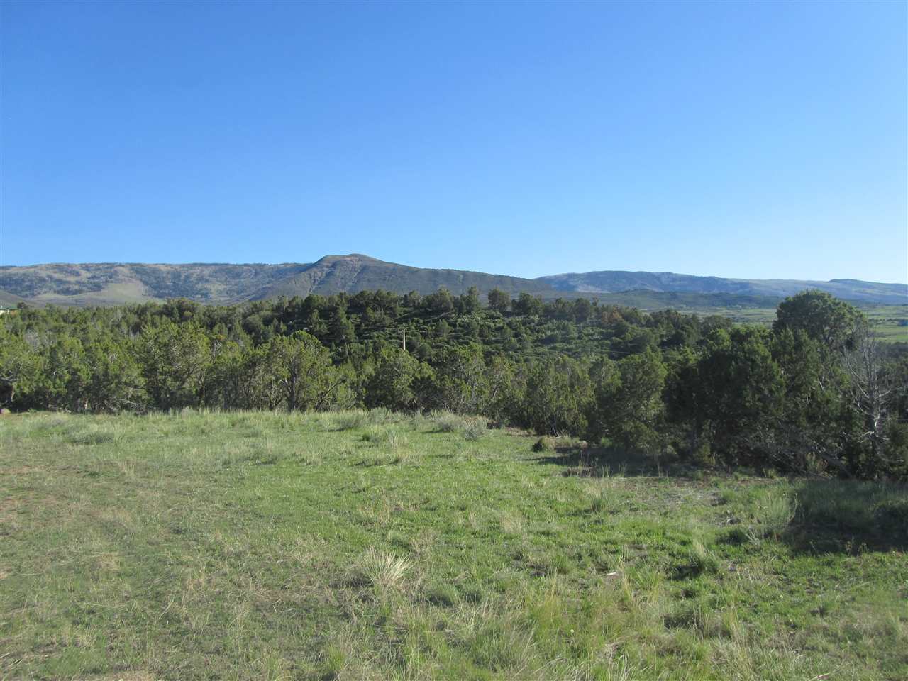 55999 KK Road Molina, CO 81646 - Photo 6 of 19 Gallery Image 6