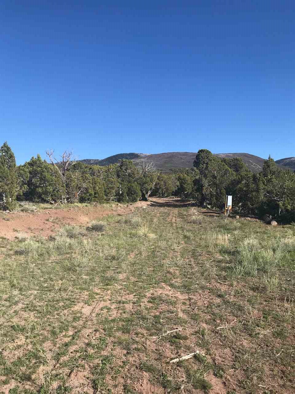 55999 KK Road Molina, CO 81646 - Photo 7 of 19 Gallery Image 7