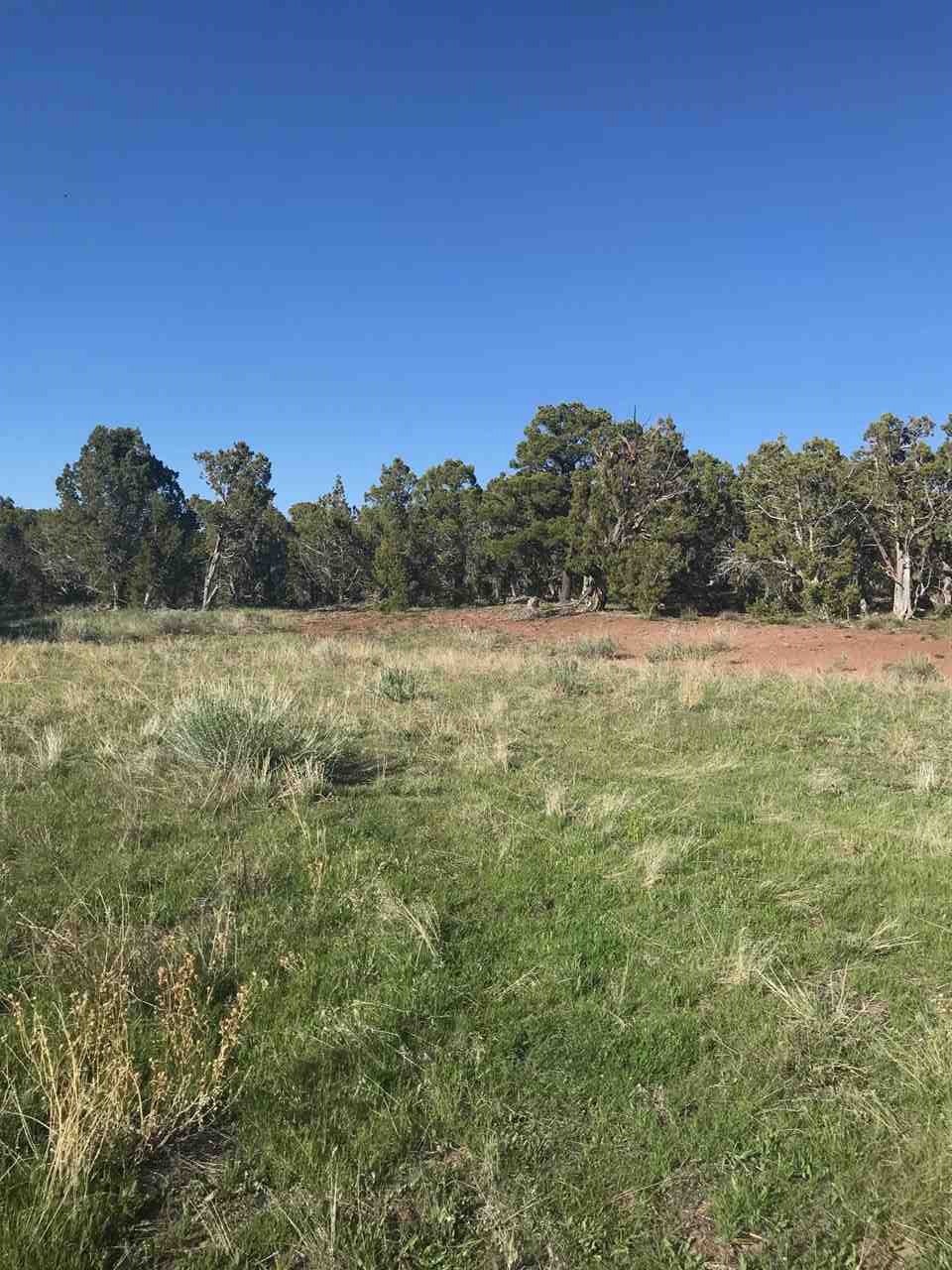 55999 KK Road Molina, CO 81646 - Photo 10 of 19 Gallery Image 10