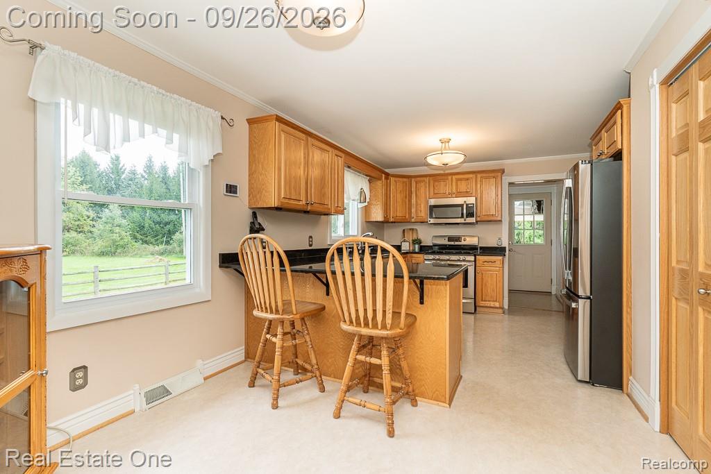 11095 Hogan Road Gaines, MI 48436 - Photo 17 of 47 Dining penninsula.