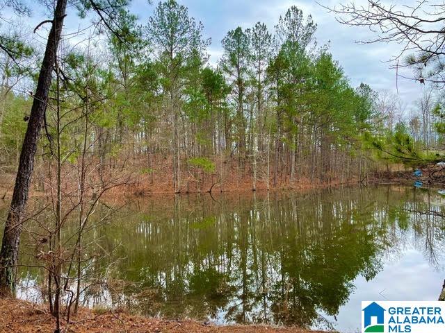0 Deaver Walker Road Trafford, AL 35172 - Photo 25 of 28