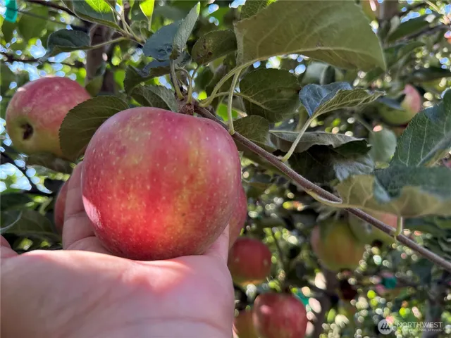 $720,000 | 1 Mountainview Road, Grandview, WA 98930