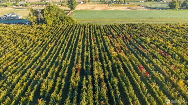 $689,000 | 1 Mountainview Road, Grandview, WA 98930