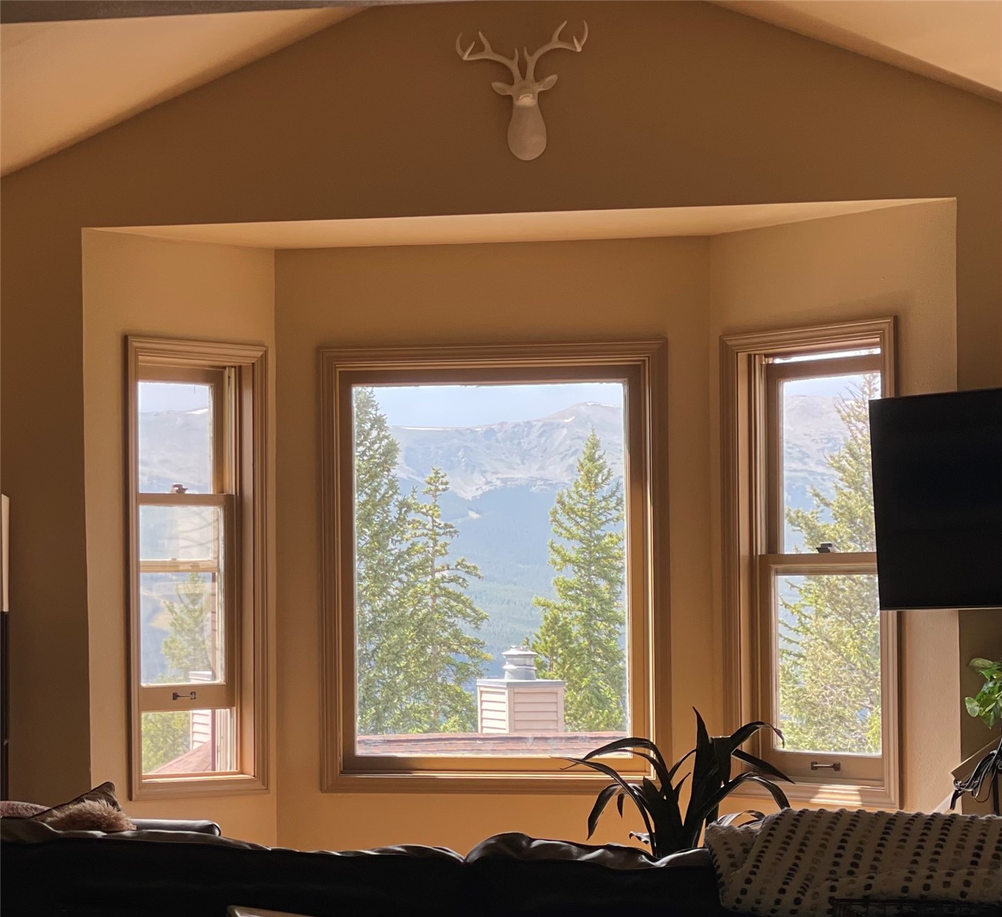 1120 Baldy Road, Unit 1120 Breckenridge, CO 80424 - Photo 1 of 38 Your views of the Breckenridge Ski Resort from the living room as you relax in front of the wood fireplace.