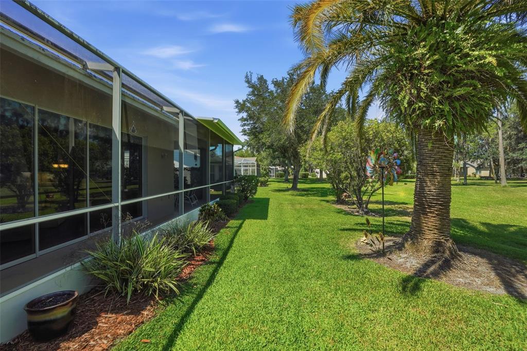 1430 Canberley Court Trinity, FL 34655 - Photo 45 of 66