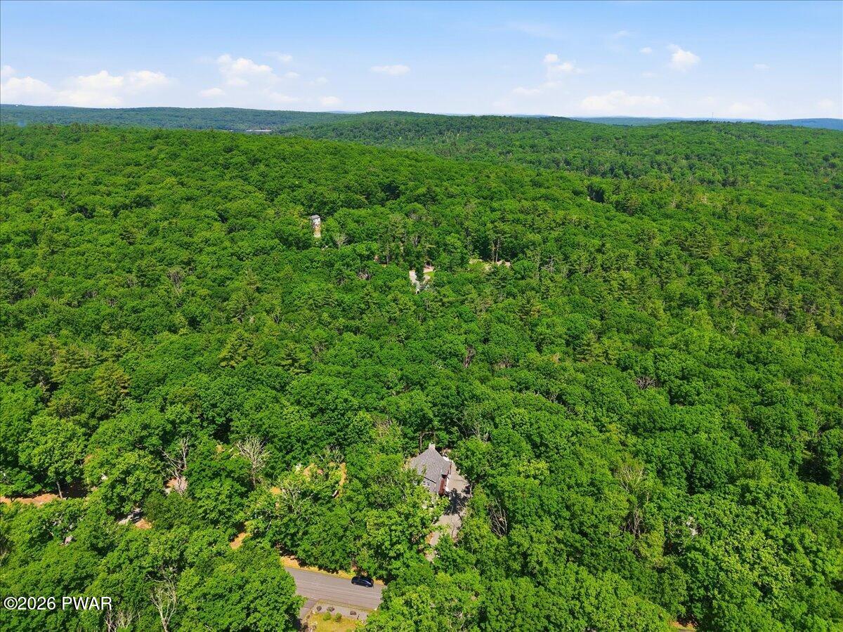 193 Eagle Rock Road Lackawaxen, PA 18435 - Photo 80 of 124