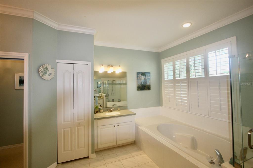 9035 Laurel Ridge Drive Mount Dora, FL 32757 - Photo 17 of 40