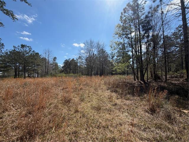 67 Warrior Trace Covington, LA 70435 - Photo 4 of 5