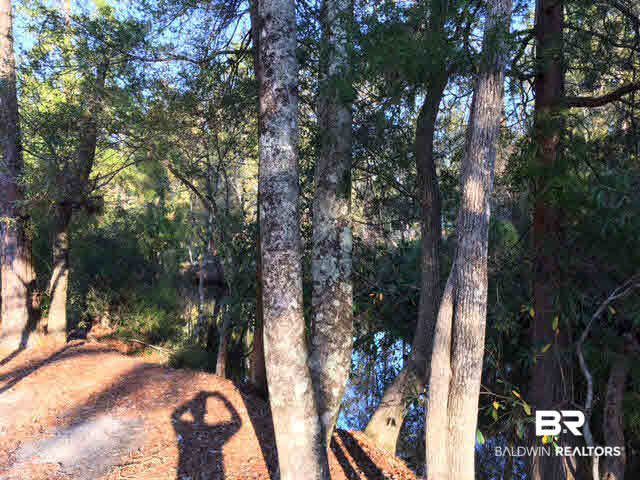 9418 Hammock Road Elberta, AL 36530 - Photo 15 of 16 Creek