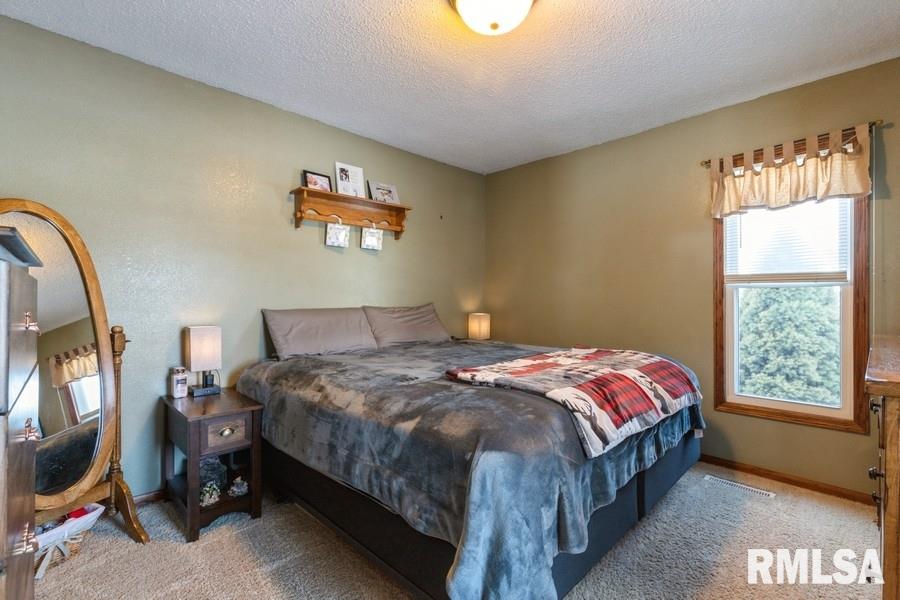201 Center Street Delmar, IA 52037 - Photo 5 of 21 Gallery Image 5