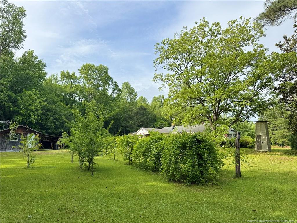 170 South River Road Autryville, NC 28318 - Photo 3 of 7 Photo 3