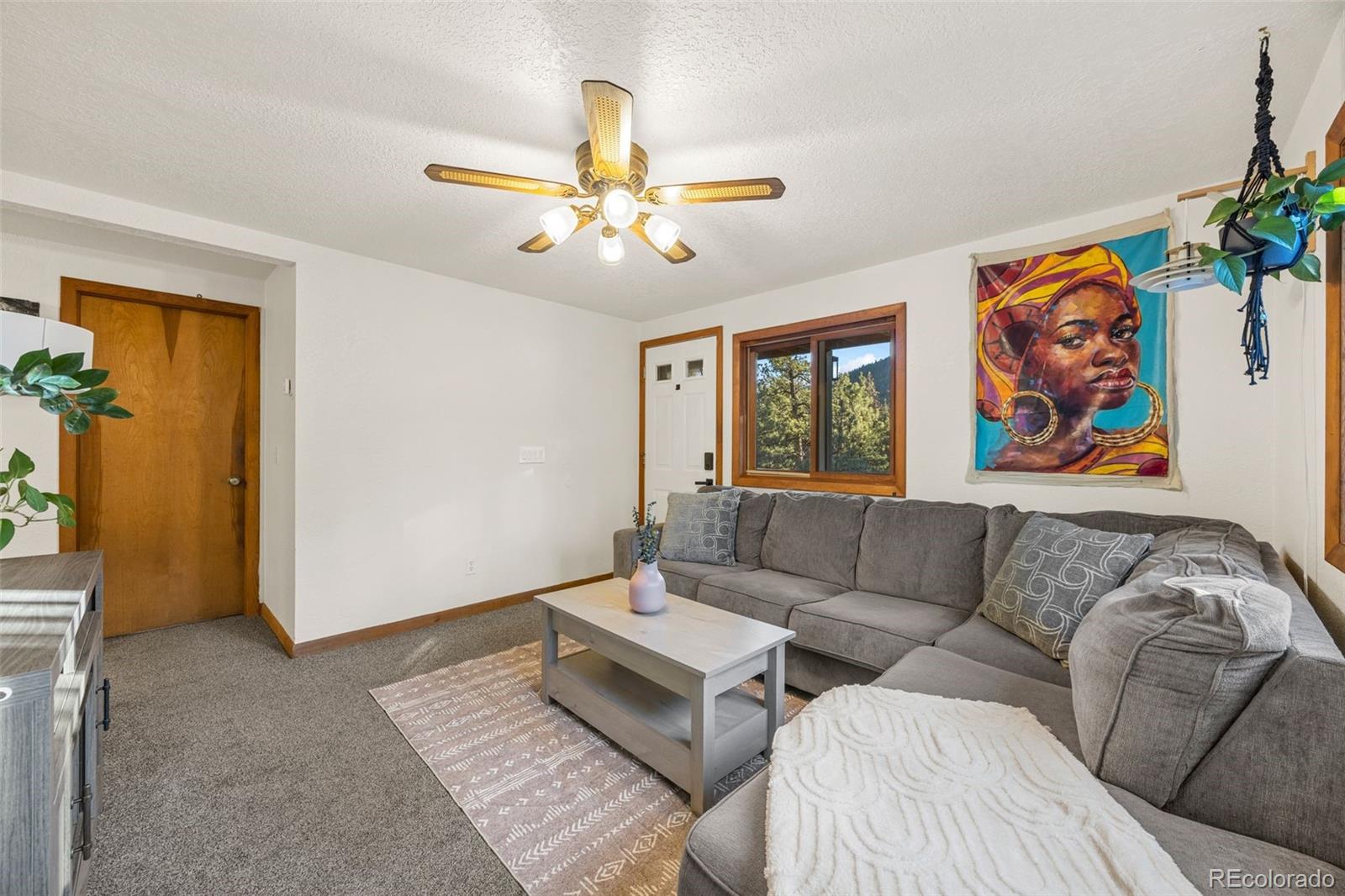 22 Driver Road Bailey, CO 80421 - Photo 15 of 24 a living room with furniture and a rug