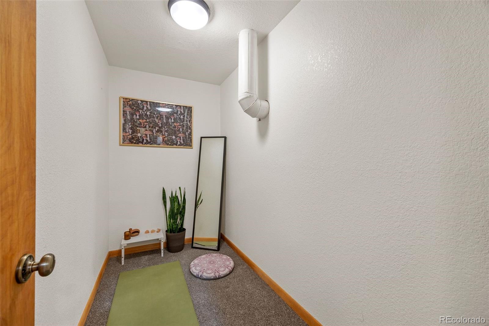 22 Driver Road Bailey, CO 80421 - Photo 20 of 24