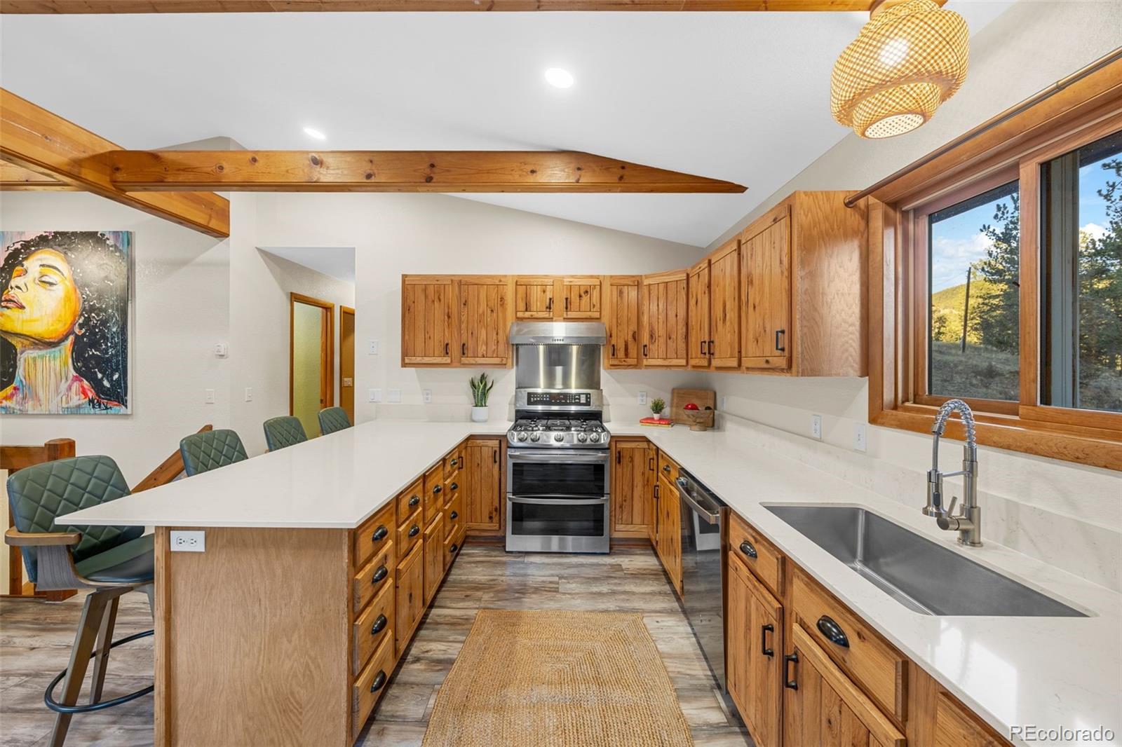 22 Driver Road Bailey, CO 80421 - Photo 6 of 24 a kitchen with stainless steel appliances a sink and a large window