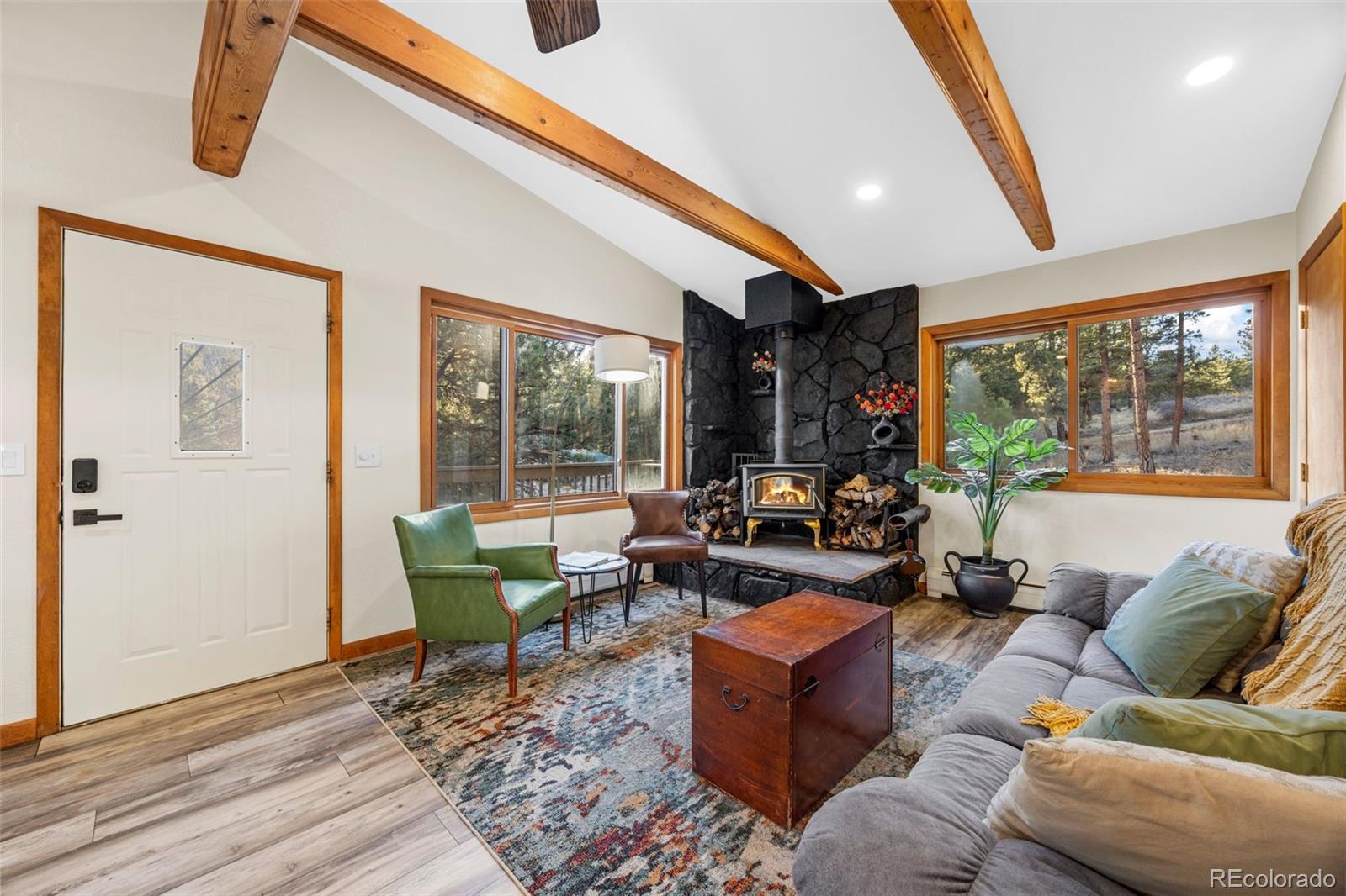 22 Driver Road Bailey, CO 80421 - Photo 8 of 24 a living room with furniture and a large window